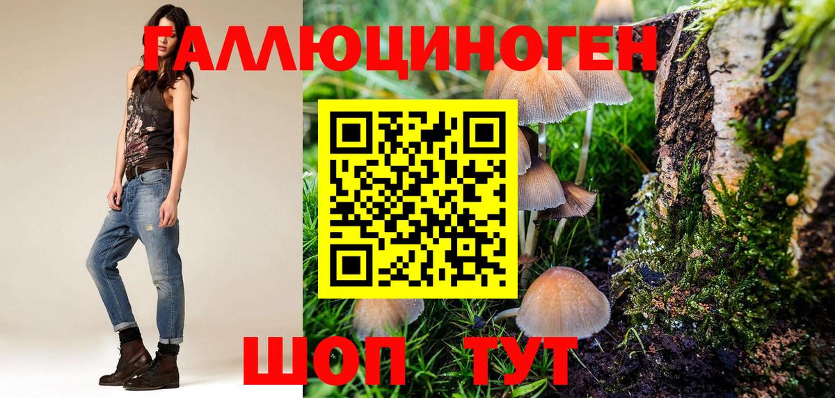 Ковров  Галлюциногенные грибы мухоморы  Вход с VPN 